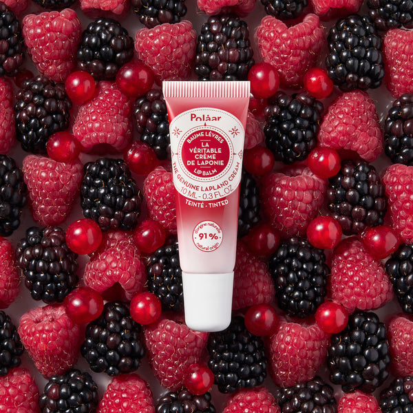 Baume Lèvres Teinté Laponie